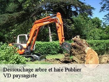 Dessouchage arbre et haie  74500