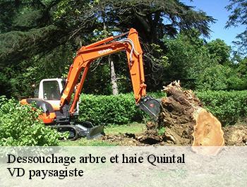 Dessouchage arbre et haie  74600