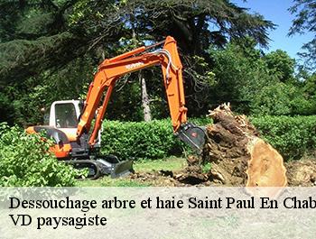 Dessouchage arbre et haie 74500