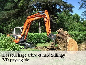 Dessouchage arbre et haie  74330