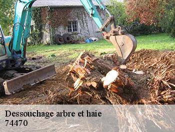 Dessouchage arbre et haie 74470