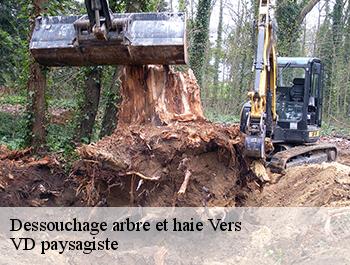 Dessouchage arbre et haie