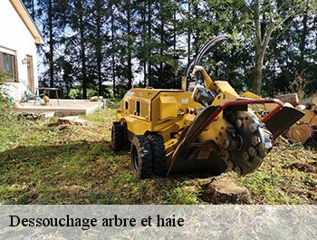Dessouchage arbre et haie  74150