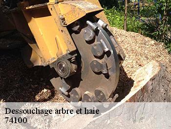 Dessouchage arbre et haie