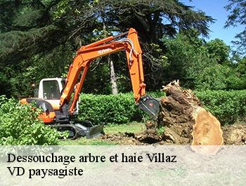 Dessouchage arbre et haie  74370