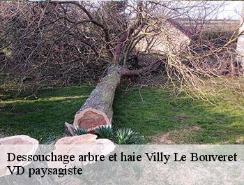 Dessouchage arbre et haie  villy-le-bouveret-74350 VD paysagiste