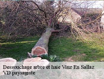 Dessouchage arbre et haie  viuz-en-sallaz-74250 VD paysagiste