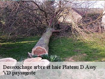 Dessouchage arbre et haie plateau-d-assy-74480 VD paysagiste