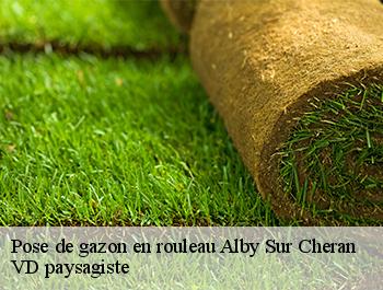 Pose de gazon en rouleau  74540