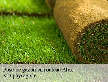 Pose de gazon en rouleau  74290