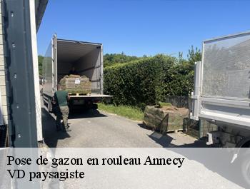 Pose de gazon en rouleau  annecy-74000 VD paysagiste