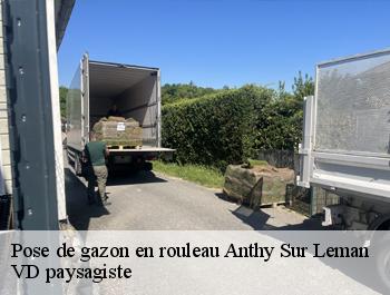 Pose de gazon en rouleau anthy-sur-leman-74200 VD paysagiste