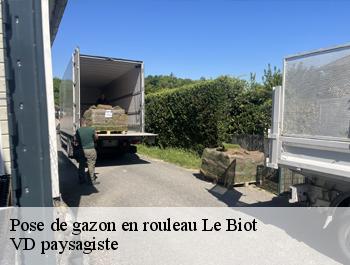 Pose de gazon en rouleau  le-biot-74430 VD paysagiste