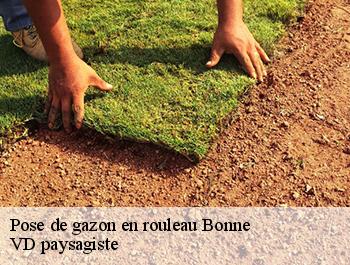 Pose de gazon en rouleau  74380