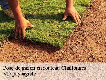 Pose de gazon en rouleau 74910