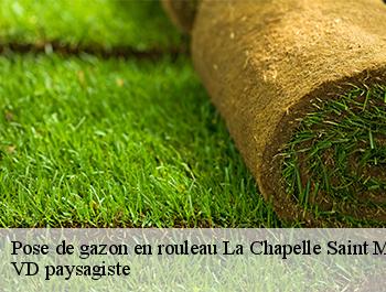Pose de gazon en rouleau  74410
