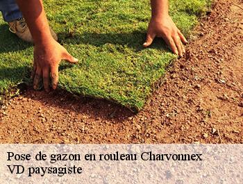 Pose de gazon en rouleau 74370