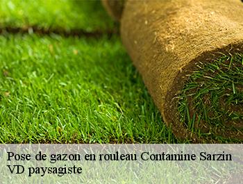 Pose de gazon en rouleau  74270