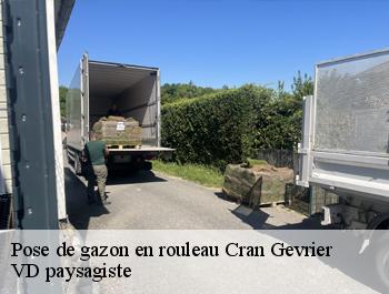 Pose de gazon en rouleau  cran-gevrier-74960 VD paysagiste