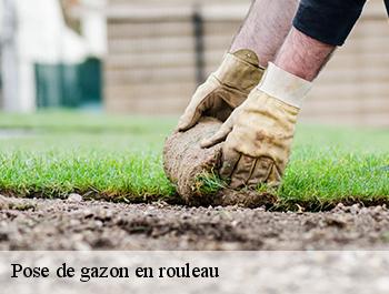Pose de gazon en rouleau  74520