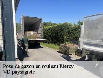 Pose de gazon en rouleau etercy-74150 VD paysagiste