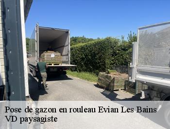 Pose de gazon en rouleau  evian-les-bains-74500 VD paysagiste