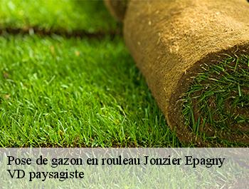 Pose de gazon en rouleau 74520