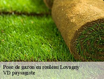 Pose de gazon en rouleau  74330