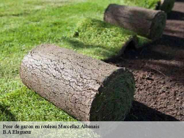 Pose de gazon en rouleau  marcellaz-albanais-74150 B.A Elagueur