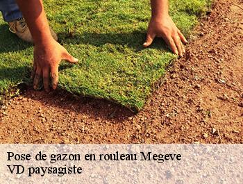 Pose de gazon en rouleau  74120