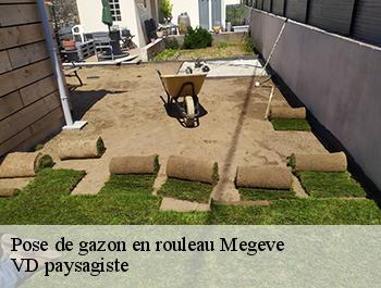 Pose de gazon en rouleau