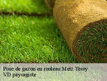 Pose de gazon en rouleau 74370