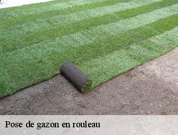 Pose de gazon en rouleau