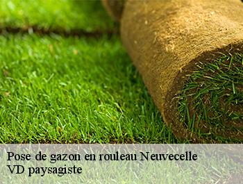 Pose de gazon en rouleau  74500