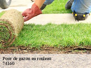 Pose de gazon en rouleau