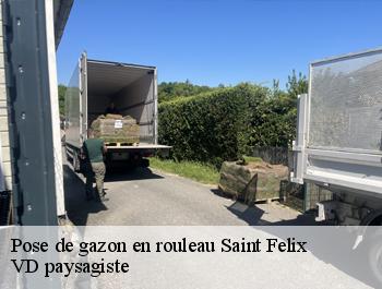Pose de gazon en rouleau  saint-felix-74540 VD paysagiste