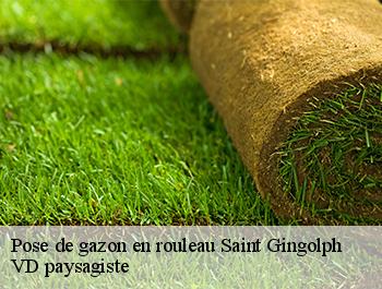 Pose de gazon en rouleau  74500