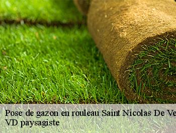 Pose de gazon en rouleau 74190