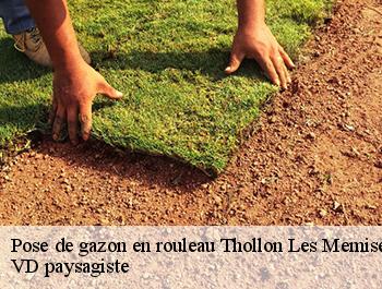 Pose de gazon en rouleau 74500