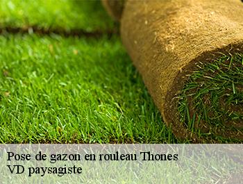 Pose de gazon en rouleau 74230