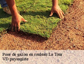 Pose de gazon en rouleau 74250