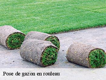 Pose de gazon en rouleau