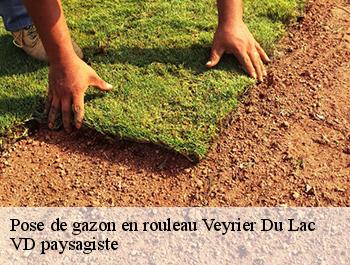 Pose de gazon en rouleau  74290