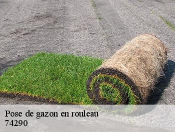 Pose de gazon en rouleau  74290