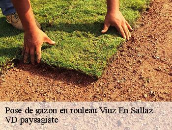 Pose de gazon en rouleau  74250