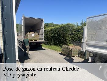 Pose de gazon en rouleau chedde-74190 VD paysagiste
