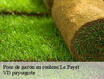 Pose de gazon en rouleau  74190