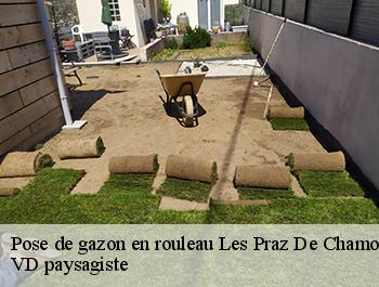 Pose de gazon en rouleau