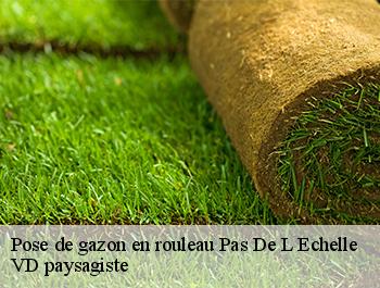 Pose de gazon en rouleau  74100