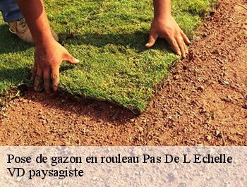 Pose de gazon en rouleau  74100